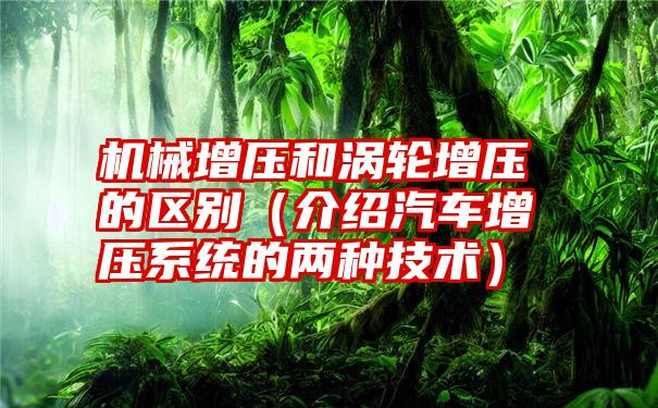 机械增压和涡轮增压的区别（介绍汽车增压系统的两种技术）