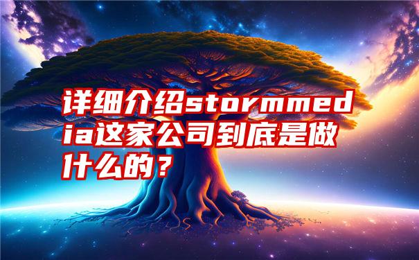 详细介绍stormmedia这家公司到底是做什么的？