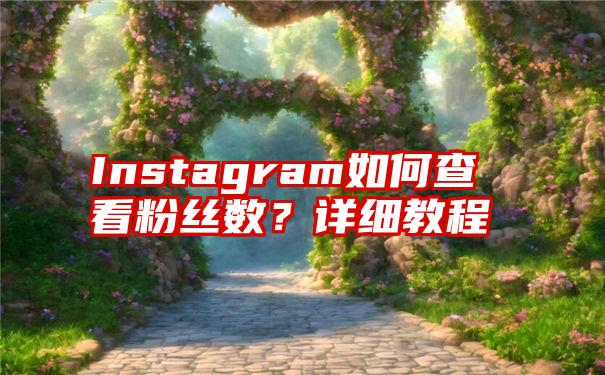 Instagram如何查看粉丝数？详细教程