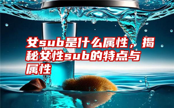 女sub是什么属性，揭秘女性sub的特点与属性