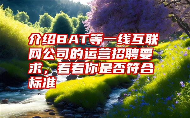 介绍BAT等一线互联网公司的运营招聘要求，看看你是否符合标准