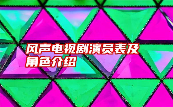 风声电视剧演员表及角色介绍