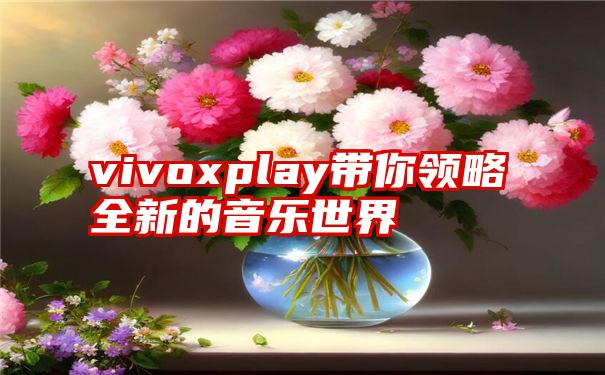 vivoxplay带你领略全新的音乐世界