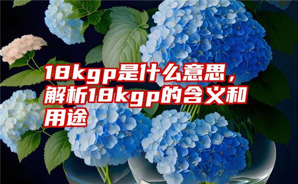 18kgp是什么意思，解析18kgp的含义和用途