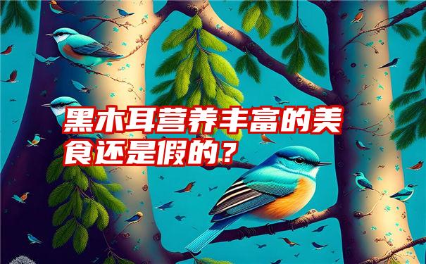 黑木耳营养丰富的美食还是假的？