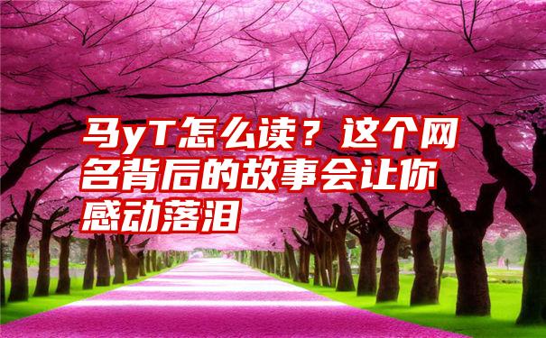 马yT怎么读？这个网名背后的故事会让你感动落泪