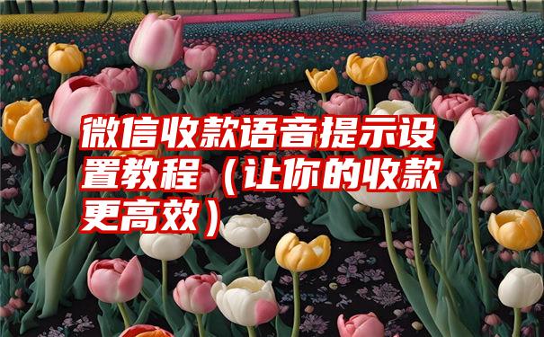 微信收款语音提示设置教程（让你的收款更高效）