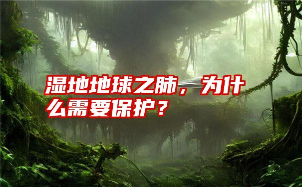 湿地地球之肺，为什么需要保护？