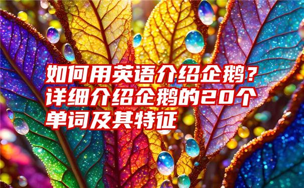 如何用英语介绍企鹅？详细介绍企鹅的20个单词及其特征