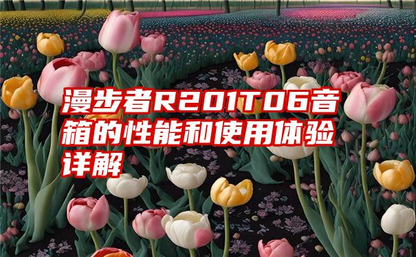 漫步者R201T06音箱的性能和使用体验详解