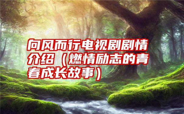 向风而行电视剧剧情介绍（燃情励志的青春成长故事）