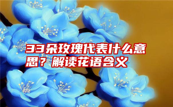 33朵玫瑰代表什么意思？解读花语含义