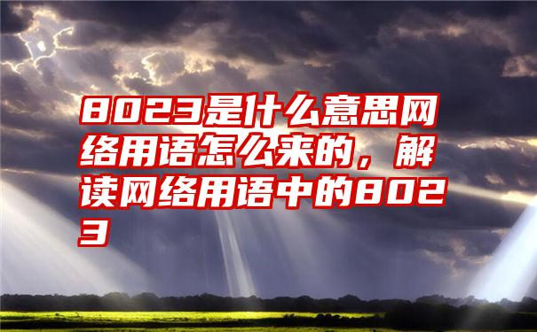 8023是什么意思网络用语怎么来的，解读网络用语中的8023