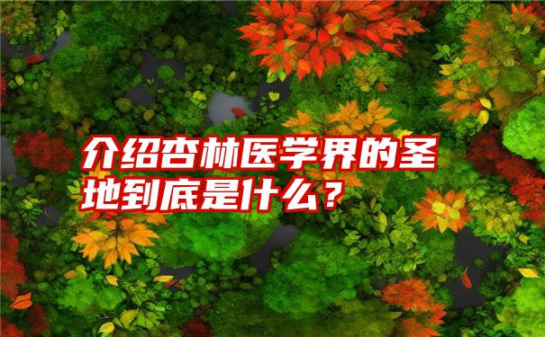 介绍杏林医学界的圣地到底是什么？