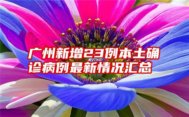 广州新增23例本土确诊病例最新情况汇总