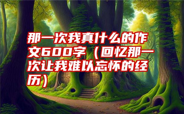 那一次我真什么的作文600字（回忆那一次让我难以忘怀的经历）