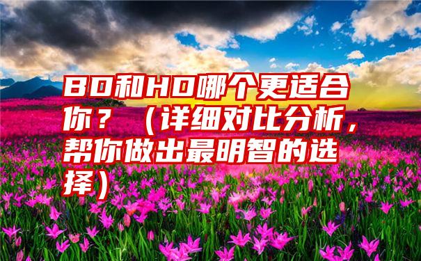 BD和HD哪个更适合你？（详细对比分析，帮你做出最明智的选择）