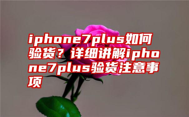 iphone7plus如何验货？详细讲解iphone7plus验货注意事项