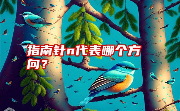 指南针n代表哪个方向？