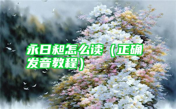 永日昶怎么读（正确发音教程）