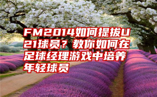 FM2014如何提拔U21球员？教你如何在足球经理游戏中培养年轻球员