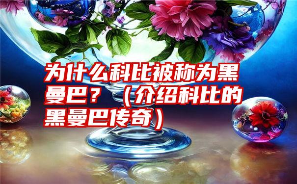 为什么科比被称为黑曼巴？（介绍科比的黑曼巴传奇）