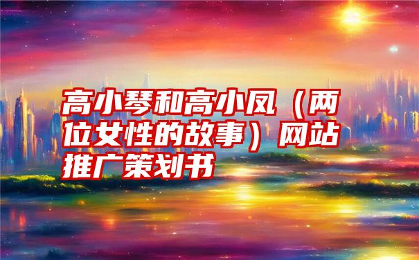 高小琴和高小凤（两位女性的故事）网站推广策划书