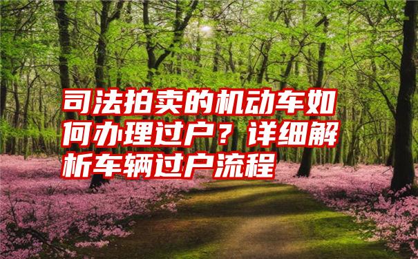 司法拍卖的机动车如何办理过户？详细解析车辆过户流程