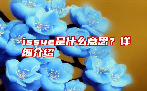 issue是什么意思？详细介绍