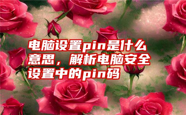 电脑设置pin是什么意思，解析电脑安全设置中的pin码