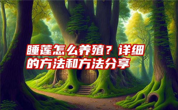 睡莲怎么养殖？详细的方法和方法分享