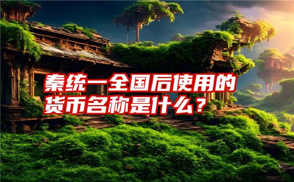 秦统一全国后使用的货币名称是什么？