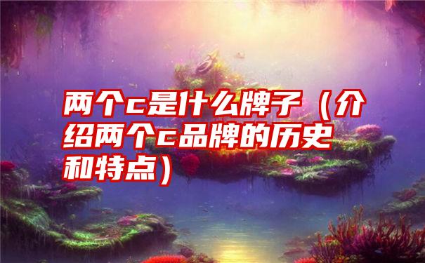 两个c是什么牌子（介绍两个c品牌的历史和特点）