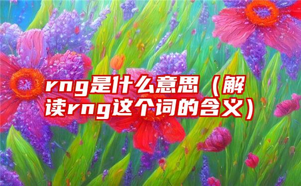 rng是什么意思（解读rng这个词的含义）