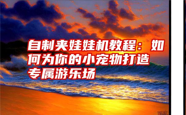 自制夹娃娃机教程：如何为你的小宠物打造专属游乐场