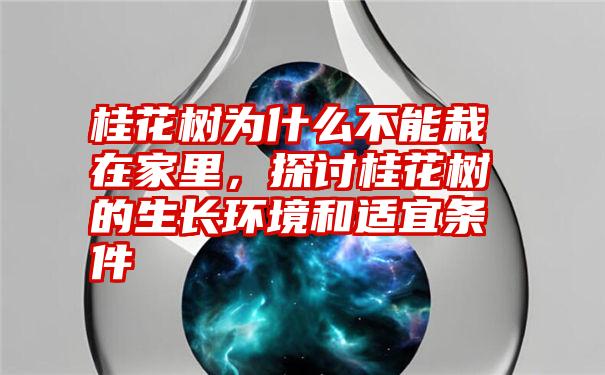 桂花树为什么不能栽在家里，探讨桂花树的生长环境和适宜条件