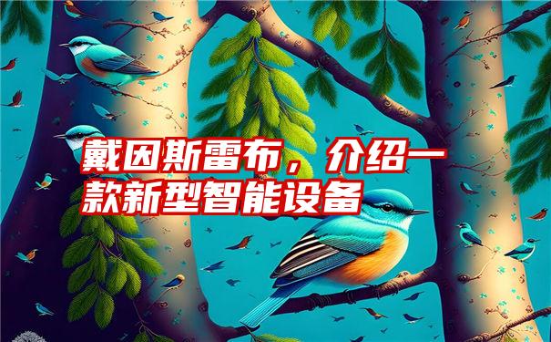 戴因斯雷布，介绍一款新型智能设备