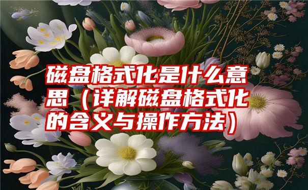 磁盘格式化是什么意思（详解磁盘格式化的含义与操作方法）