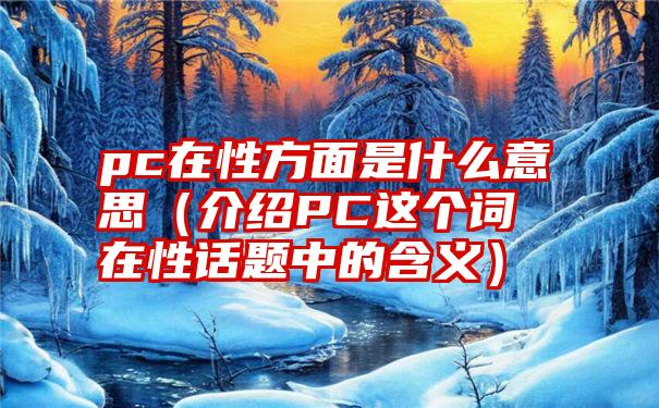 pc是什么意思图片