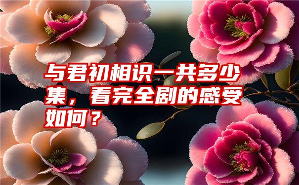 与君初相识一共多少集，看完全剧的感受如何？