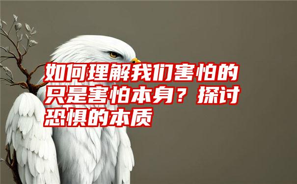 如何理解我们害怕的只是害怕本身？探讨恐惧的本质