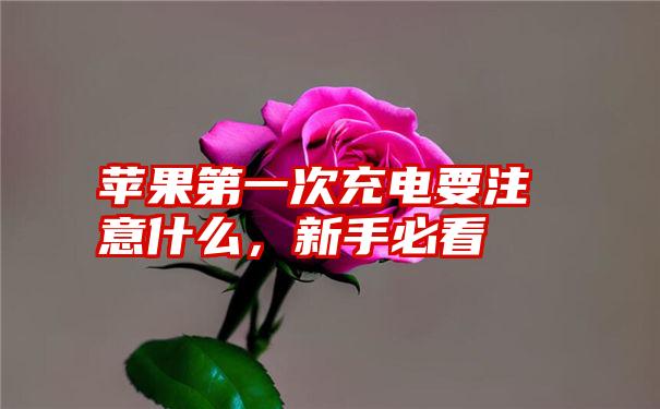 苹果第一次充电要注意什么，新手必看