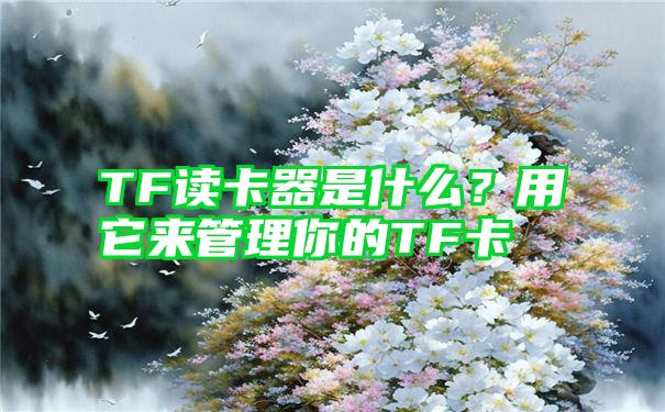 TF读卡器是什么？用它来管理你的TF卡