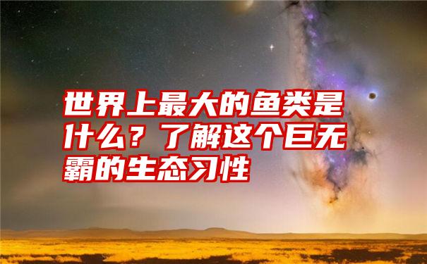 世界上最大的鱼类是什么？了解这个巨无霸的生态习性