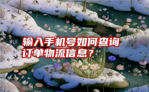 输入手机号如何查询订单物流信息？