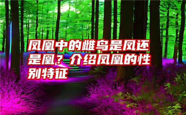 凤凰中的雌鸟是凤还是凰？介绍凤凰的性别特征