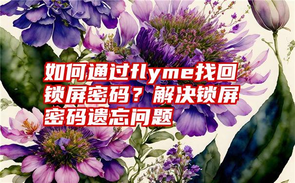 如何通过flyme找回锁屏密码？解决锁屏密码遗忘问题