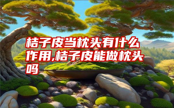 桔子皮当枕头有什么作用,桔子皮能做枕头吗