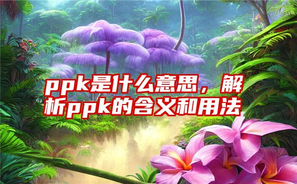 ppk是什么意思，解析ppk的含义和用法