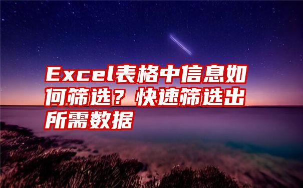 Excel表格中信息如何筛选？快速筛选出所需数据